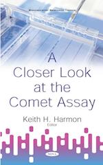 Closer Look at the Comet Assay