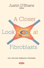 Closer Look at Fibroblasts