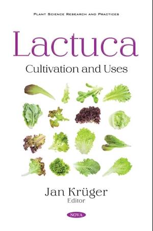 Lactuca: Cultivation and Uses