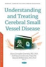 Understanding and Treating Cerebral Small Vessel Disease