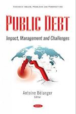 Public Debt