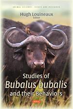 Studies of Bubalus bubalis and their Behaviors