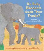 Do Baby Elephants Suck Their Trunks?