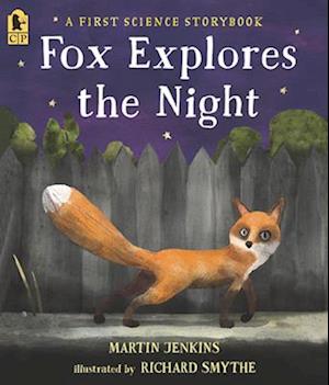 Fox Explores the Night