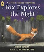 Fox Explores the Night
