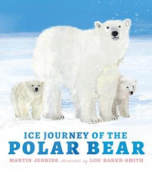 Ice Journey of the Polar Bear