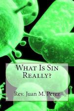 What Is Sin Really?