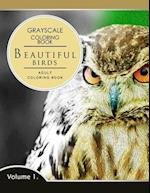 Beautiful Birds Volume 1
