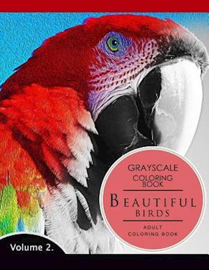 Beautiful Birds Volume 2