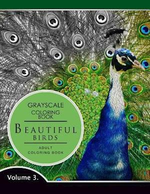 Beautiful Birds Volume 3