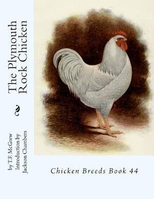 The Plymouth Rock Chicken