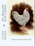 The Plymouth Rock Chicken
