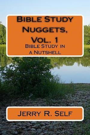 Bible Study Nuggets, Vol. 1