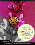 Wonderful Ladybugs and Flowers Books 2