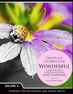 Wonderful Ladybugs and Flowers Books 3
