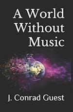A World Without Music