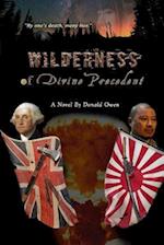 Wilderness of Divine Precedent