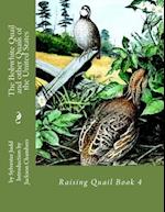 The Bobwhite Quail and Other Quails of the United States