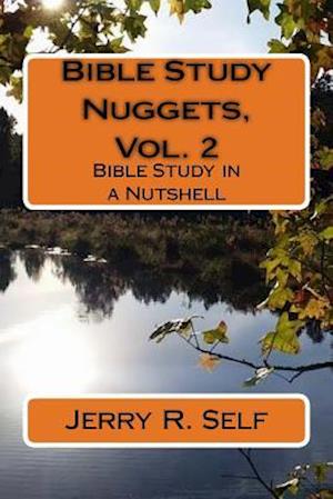 Bible Study Nuggets, Vol. 2