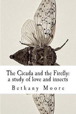 The Cicada and the Firefly