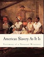 American Slavery as It Is