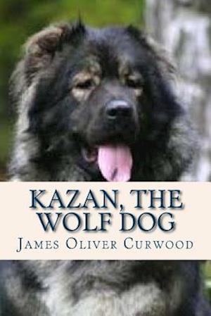 Kazan the Wolf Dog