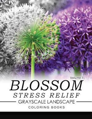 Blossom Stress Relief Grayscale Landscape Coloring Books Volume 1