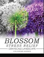 Blossom Stress Relief Grayscale Landscape Coloring Books Volume 1