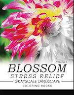 Blossom Stress Relief Grayscale Landscape Coloring Books Volume 2