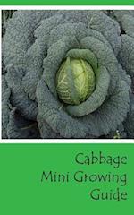 Cabbage Mini Growing Guide