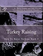 Turkey Raising