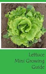 Lettuce Mini Growing Guide