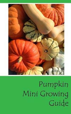 Pumpkin Mini Growing Guide