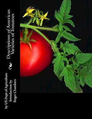 Descriptions of American Varieties of Tomatoes