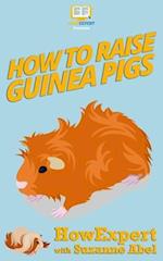 How To Raise Guinea Pigs