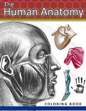 The Human Anatomy Coloring Book