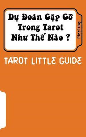Tarot Little Guide