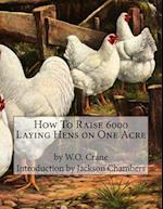 How to Raise 6000 Laying Hens on One Acre
