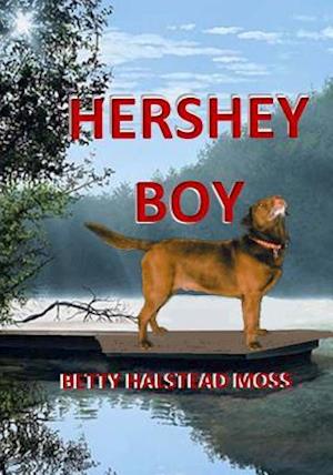 Hershey Boy