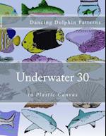 Underwater 30