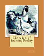 The A-B-C of Breeding Poultry