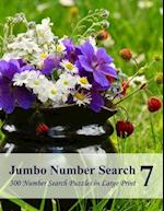 Jumbo Number Search 7