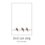 Bird Can Sing