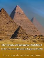 Fruits of Enterprise Exhibited in the Travels of Belzoni in Egypt and Nubia