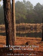 Experience of a Slave in South Carolina