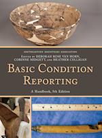 Basic Condition Reporting