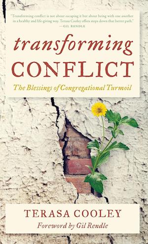 Transforming Conflict