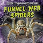 Funnel-Web Spiders