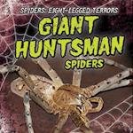Giant Huntsman Spiders
