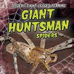Giant Huntsman Spiders
